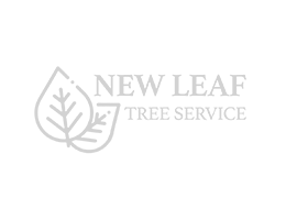 new-leaf